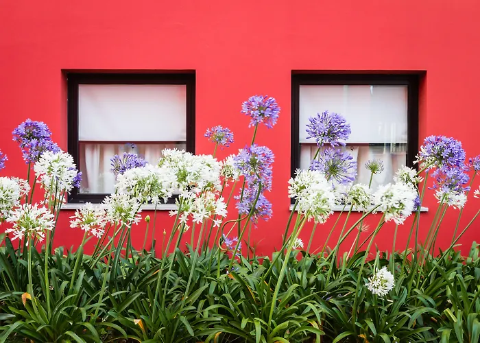 Ibis Lisboa Hotel 2*